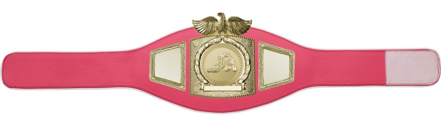 PROEAGLE JIU JITSU CHAMPIONSHIP BELT - PROEAGLE/G/JJG - AVAILABLE IN 6+ COLOURS PROEAGLE JIU JITSU CHAMPIONSHIP BELT - PROEAGLE/G/JJG - AVAILABLE IN 6+ COLOURS